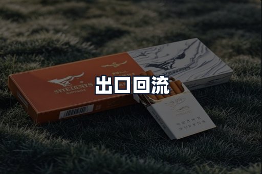 出口回流
